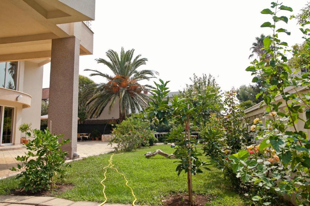 Residence Bella Budva Exteriér fotografie